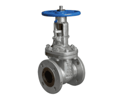 Stainless Steel 202 Gate Valves