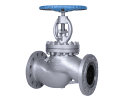 Stainless Steel 202 Globe Valves